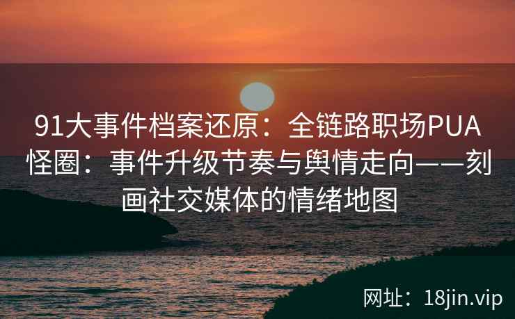 91大事件档案还原：全链路职场PUA怪圈：事件升级节奏与舆情走向——刻画社交媒体的情绪地图