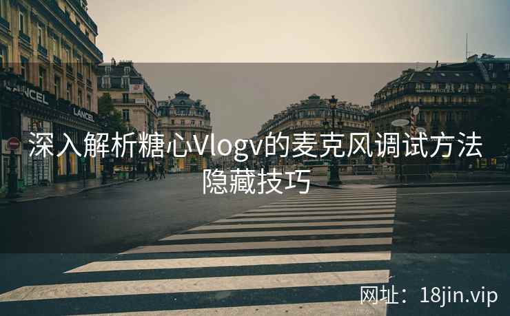深入解析糖心Vlogv的麦克风调试方法隐藏技巧  第2张