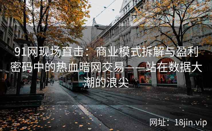 91网现场直击：商业模式拆解与盈利密码中的热血暗网交易——站在数据大潮的浪尖