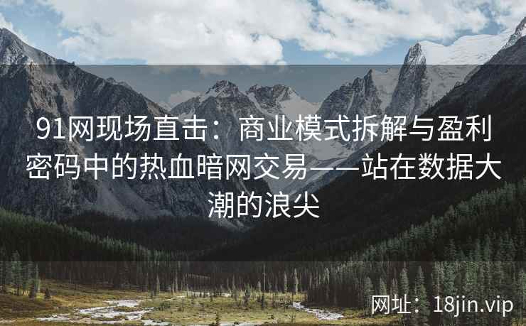 91网现场直击：商业模式拆解与盈利密码中的热血暗网交易——站在数据大潮的浪尖