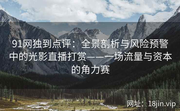 91网独到点评：全景剖析与风险预警中的光影直播打赏——一场流量与资本的角力赛