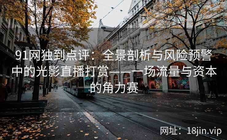 91网独到点评：全景剖析与风险预警中的光影直播打赏——一场流量与资本的角力赛