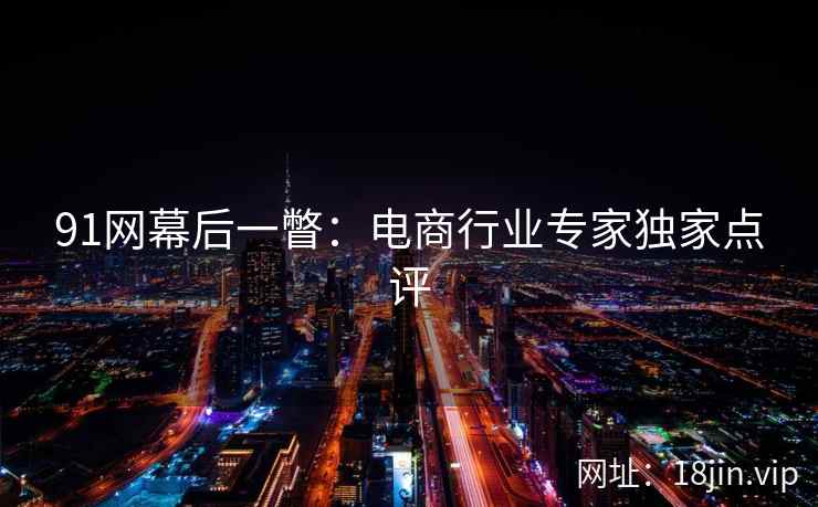 91网幕后一瞥：电商行业专家独家点评