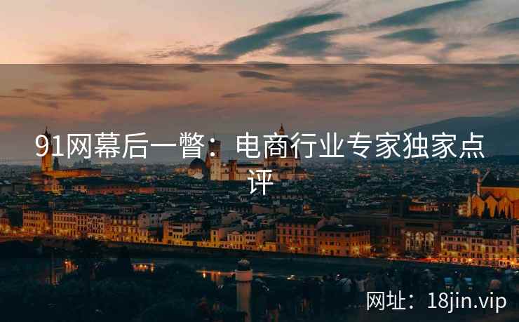 91网幕后一瞥：电商行业专家独家点评