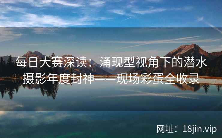 每日大赛深读：涌现型视角下的潜水摄影年度封神——现场彩蛋全收录  第2张