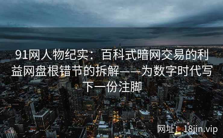 91网人物纪实：百科式暗网交易的利益网盘根错节的拆解——为数字时代写下一份注脚  第1张