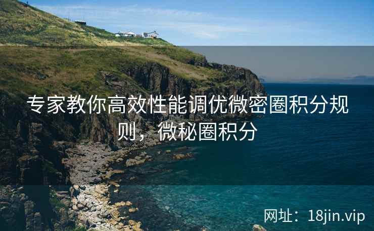 专家教你高效性能调优微密圈积分规则，微秘圈积分  第2张