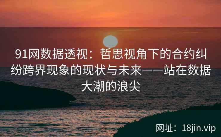 91网数据透视：哲思视角下的合约纠纷跨界现象的现状与未来——站在数据大潮的浪尖