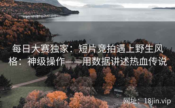 每日大赛独家：短片竞拍遇上野生风格：神级操作——用数据讲述热血传说