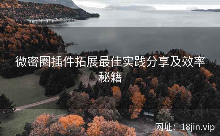 微密圈插件拓展最佳实践分享及效率秘籍