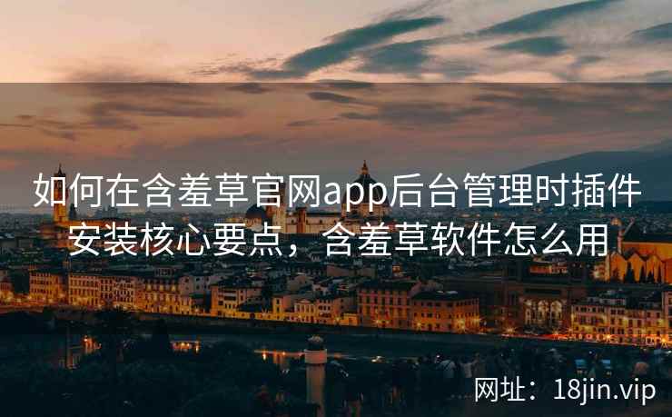 如何在含羞草官网app后台管理时插件安装核心要点，含羞草软件怎么用
