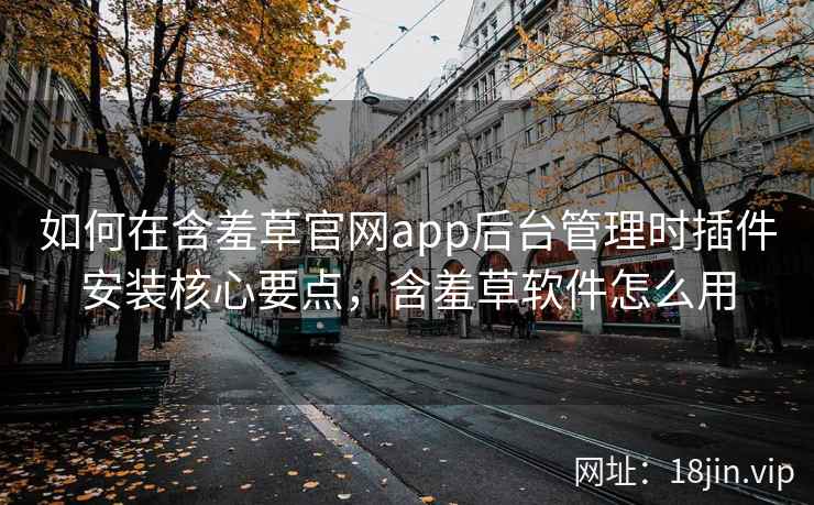 如何在含羞草官网app后台管理时插件安装核心要点，含羞草软件怎么用
