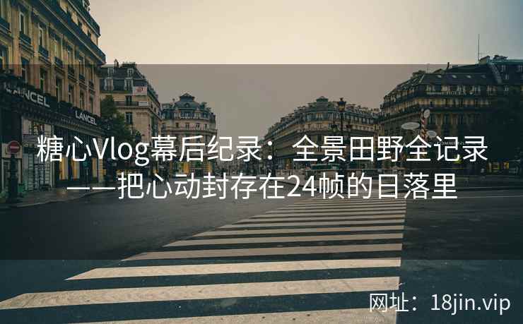 糖心Vlog幕后纪录：全景田野全记录——把心动封存在24帧的日落里
