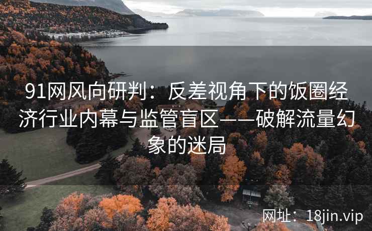 91网风向研判：反差视角下的饭圈经济行业内幕与监管盲区——破解流量幻象的迷局
