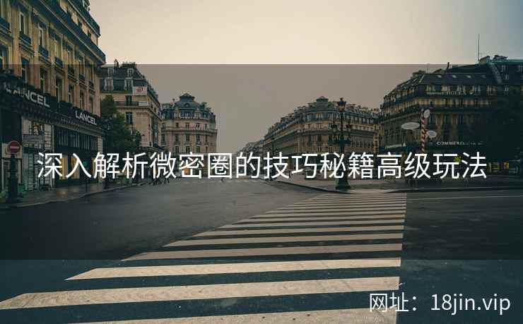 深入解析微密圈的技巧秘籍高级玩法