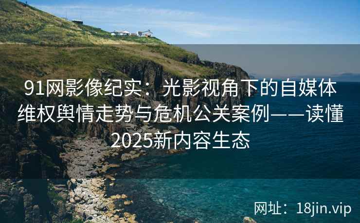 91网影像纪实：光影视角下的自媒体维权舆情走势与危机公关案例——读懂2025新内容生态