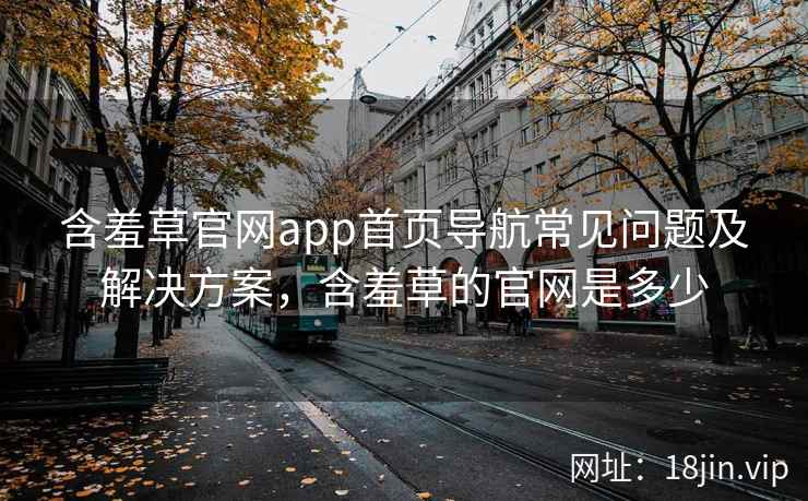 含羞草官网app首页导航常见问题及解决方案，含羞草的官网是多少